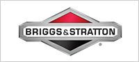 Briggs and Stratton