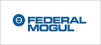 Federal-Mogul Powertrain