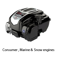 Consumer , Marine & Snow engines